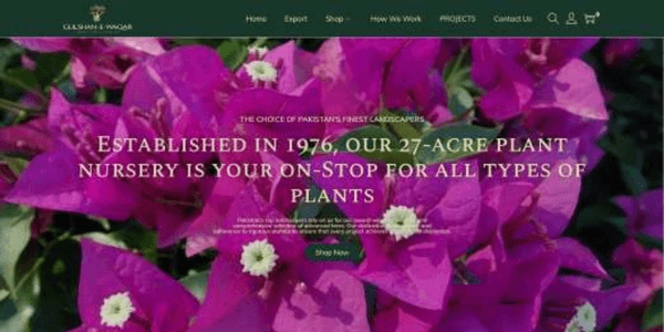 Gulshan-e-Waqar Website